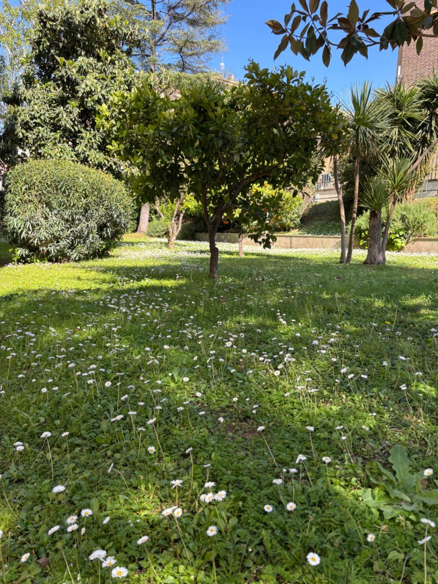 Grelly'S House - Holiday In Rome - 50 Meters From The Metro Eksteriør bilde